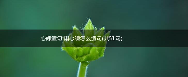心魄造句 用心魄怎么造句(共51句),第1张