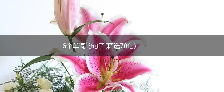 6个单词的句子(精选70句),第1张