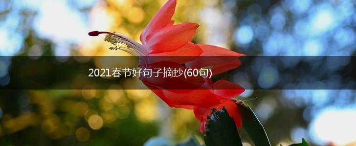2021春节好句子摘抄(60句),第1张