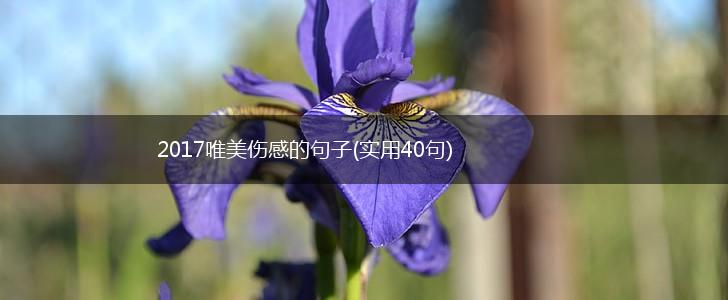 2017唯美伤感的句子(实用40句),第1张