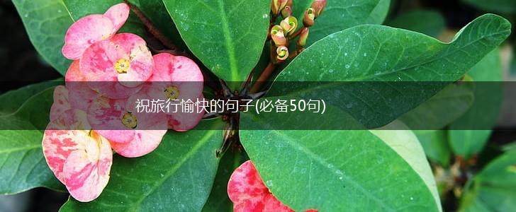 祝旅行愉快的句子(必备50句),第1张