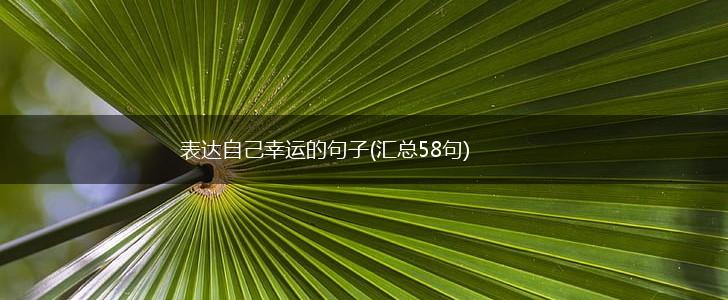 表达自己幸运的句子(汇总58句),第1张