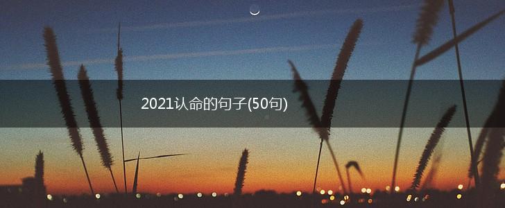 2021认命的句子(50句),第1张