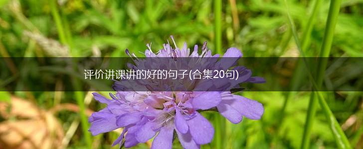 评价讲课讲的好的句子(合集20句),第1张