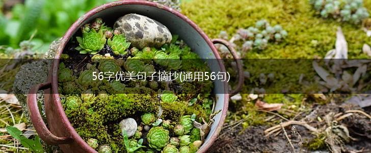 56字优美句子摘抄(通用56句),第1张