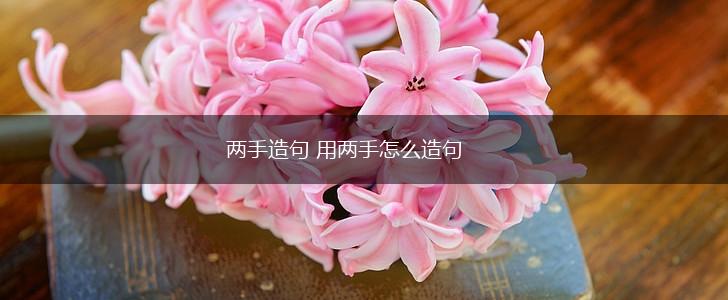 两手造句 用两手怎么造句,第1张