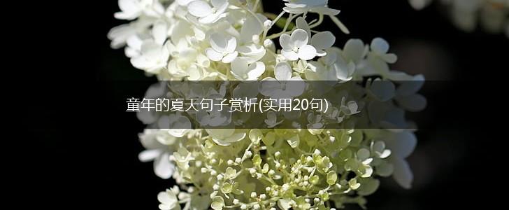 童年的夏天句子赏析(实用20句),第1张