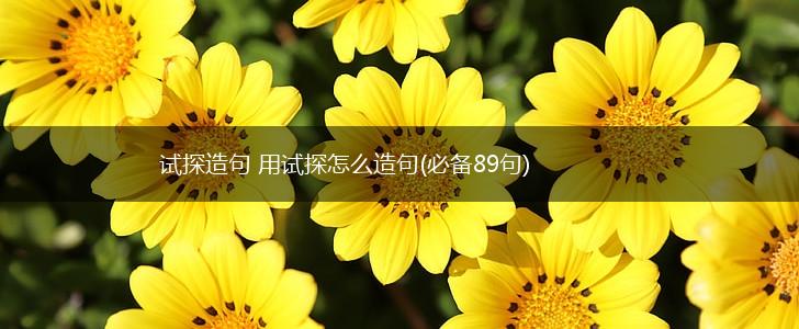 试探造句 用试探怎么造句(必备89句),第1张