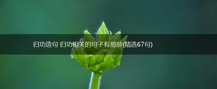 归功造句 归功相关的句子有那些(精选67句),第1张
