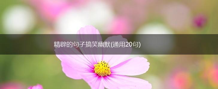 精辟的句子搞笑幽默(通用20句),第1张