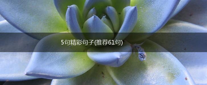5句精彩句子(推荐61句),第1张