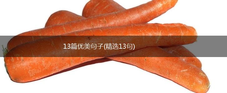 13篇优美句子(精选13句),第1张