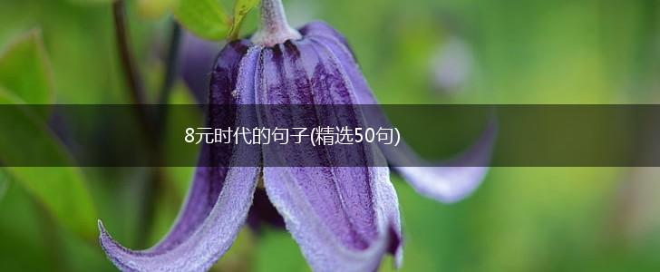 8元时代的句子(精选50句),第1张