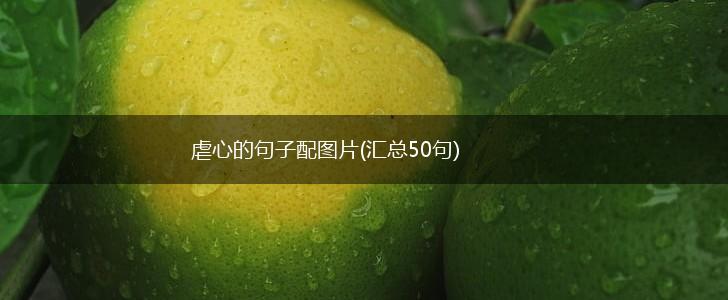 虐心的句子配图片(汇总50句),第1张