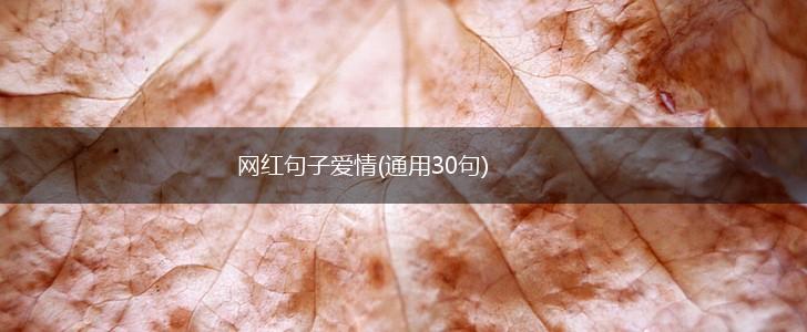 网红句子爱情(通用30句),第1张