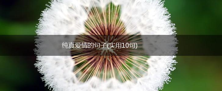 纯真爱情的句子(实用10句),第1张