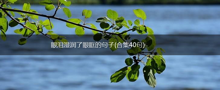眼泪湿润了眼眶的句子(合集40句),第1张