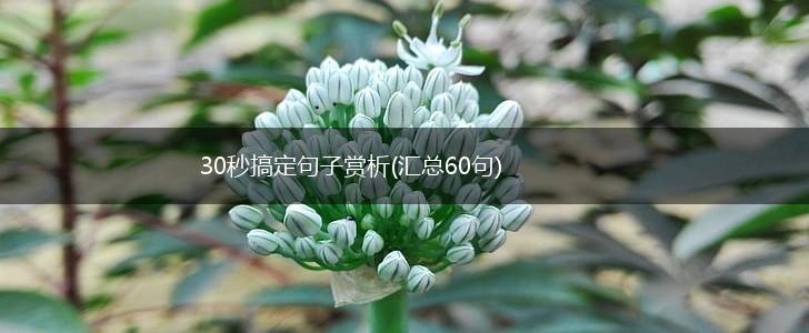 30秒搞定句子赏析(汇总60句),第1张