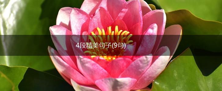 4段精美句子(9句),第1张