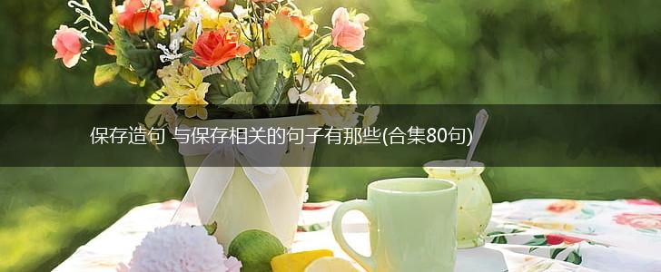 保存造句 与保存相关的句子有那些(合集80句),第1张