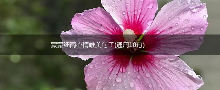 蒙蒙细雨心情唯美句子(通用10句),第1张