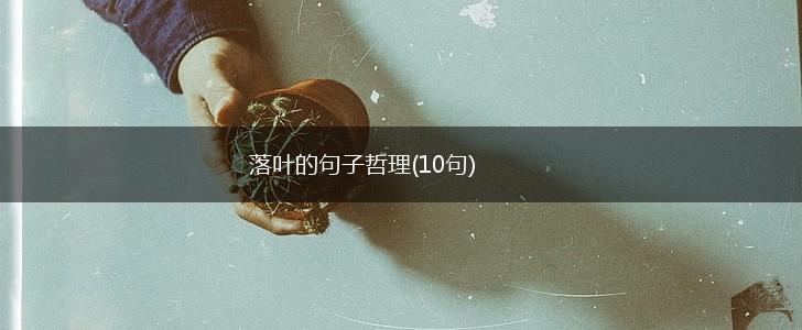 落叶的句子哲理(10句),第1张