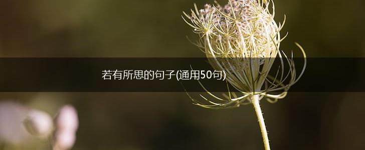 若有所思的句子(通用50句),第1张