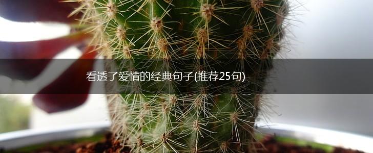 看透了爱情的经典句子(推荐25句),第1张