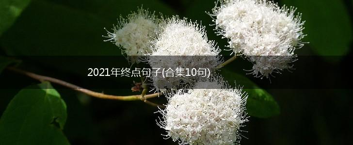 2021年终点句子(合集10句),第1张