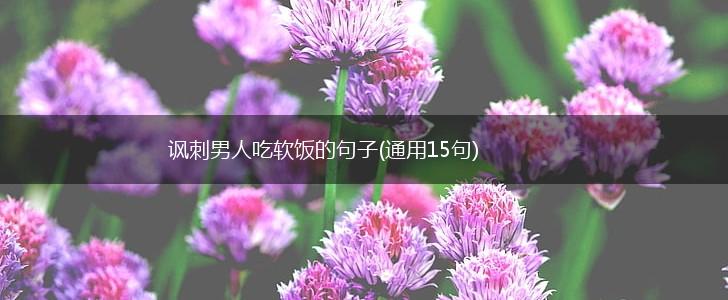 讽刺男人吃软饭的句子(通用15句),第1张