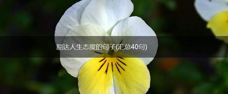 豁达人生态度的句子(汇总40句),第1张