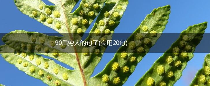 90后穷人的句子(实用20句),第1张