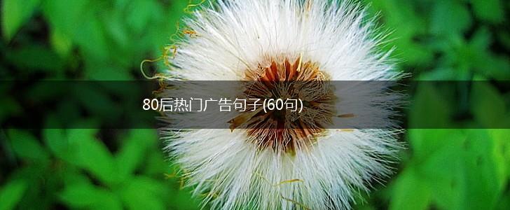 80后热门广告句子(60句),第1张
