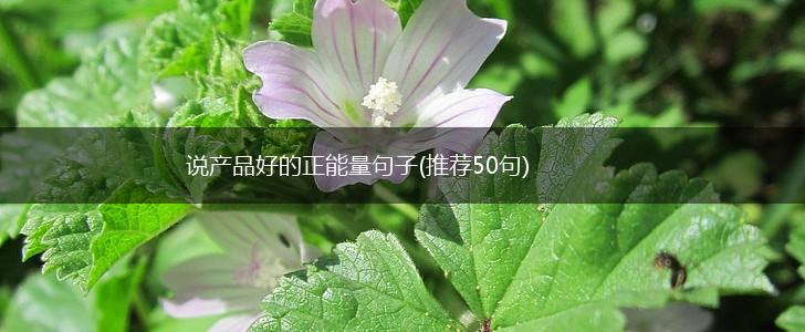 说产品好的正能量句子(推荐50句),第1张