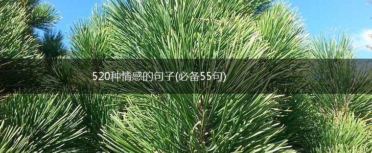 520种情感的句子(必备55句),第1张