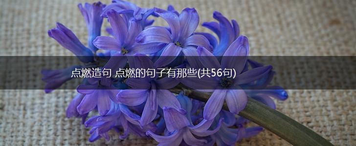 点燃造句 点燃的句子有那些(共56句),第1张