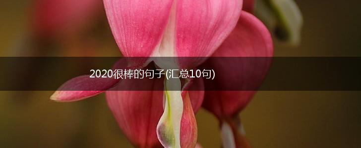 2020很棒的句子(汇总10句),第1张