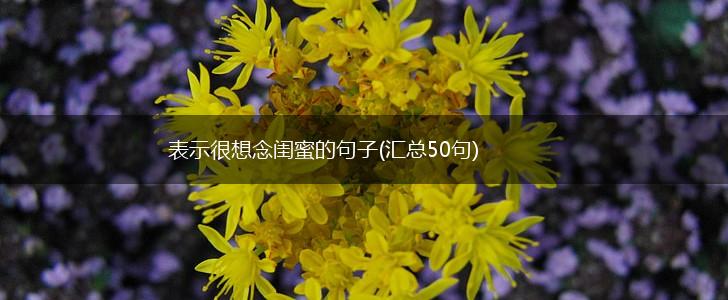 表示很想念闺蜜的句子(汇总50句),第1张