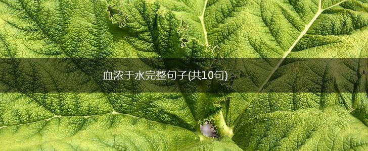 血浓于水完整句子(共10句),第1张