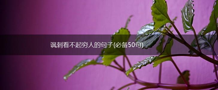 讽刺看不起穷人的句子(必备50句),第1张