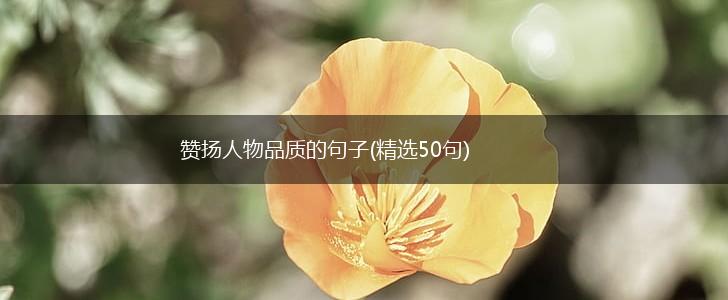 赞扬人物品质的句子(精选50句),第1张 赞扬人物品质的句子(精选50句),第1张