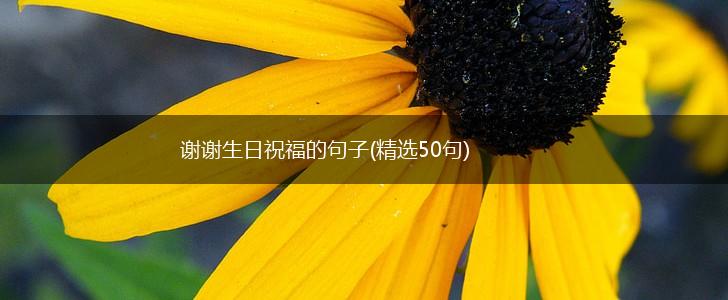 谢谢生日祝福的句子(精选50句),第1张