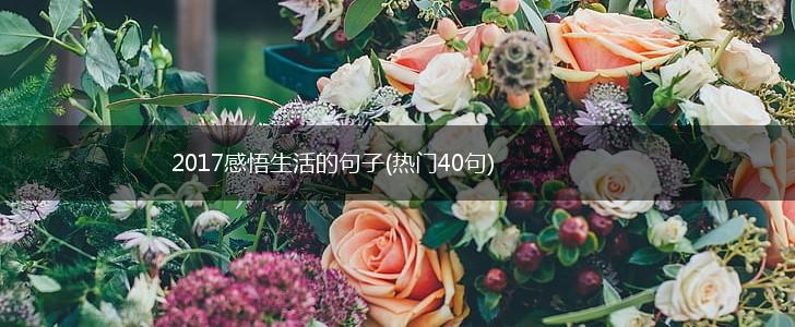 2017感悟生活的句子(热门40句),第1张