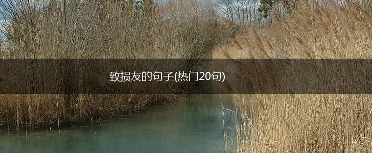 致损友的句子(热门20句),第1张
