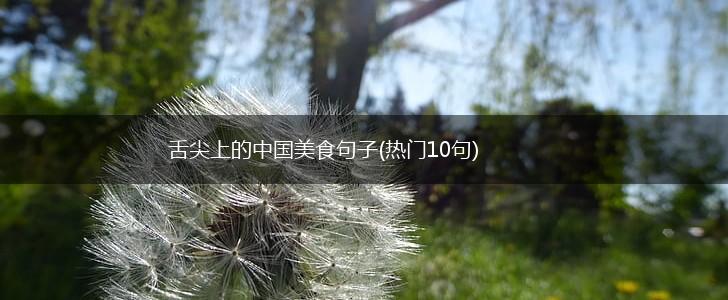 舌尖上的中国美食句子(热门10句),第1张