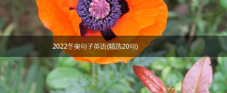 2022冬奥句子英语(精选20句),第1张