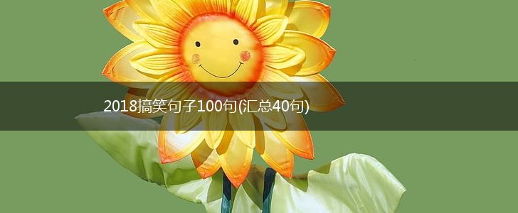 2018搞笑句子100句(汇总40句),第1张