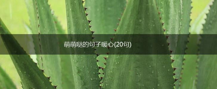 萌萌哒的句子暖心(20句),第1张