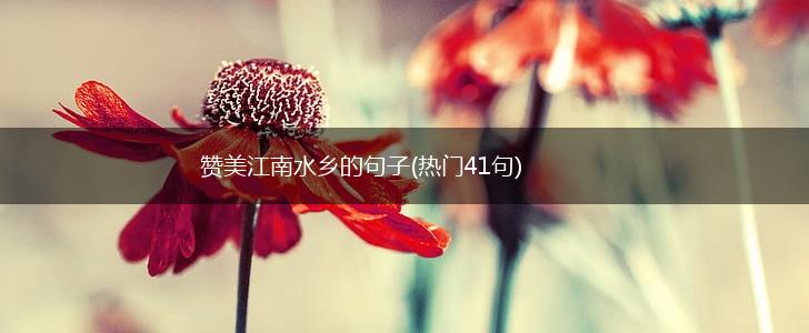 赞美江南水乡的句子(热门41句),第1张