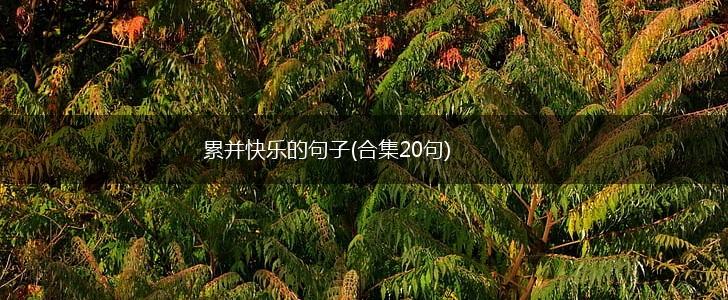 累并快乐的句子(合集20句),第1张